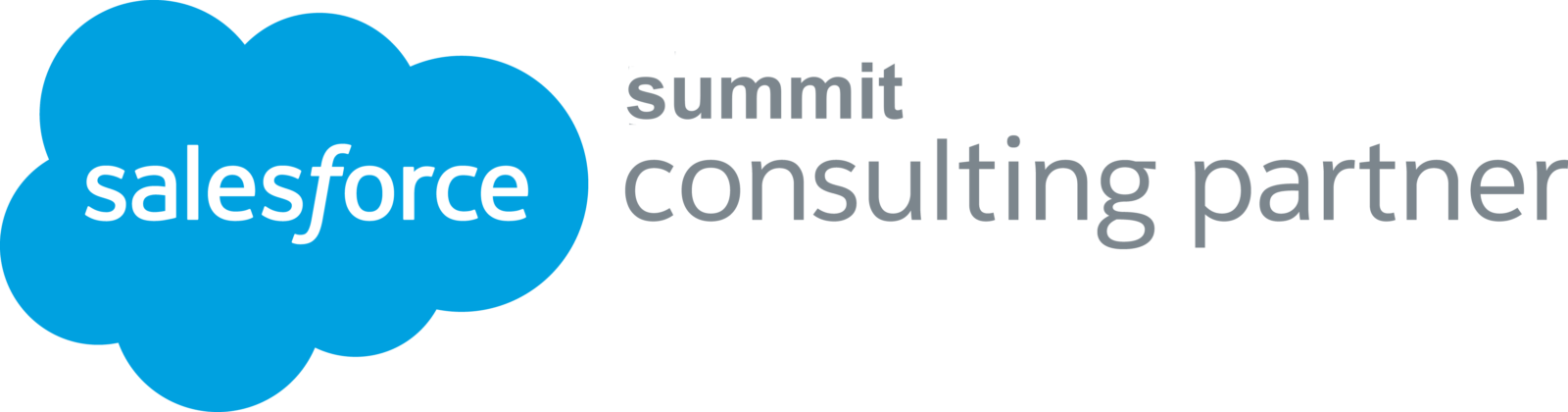 Leading Salesforce Consulting Partner from North America