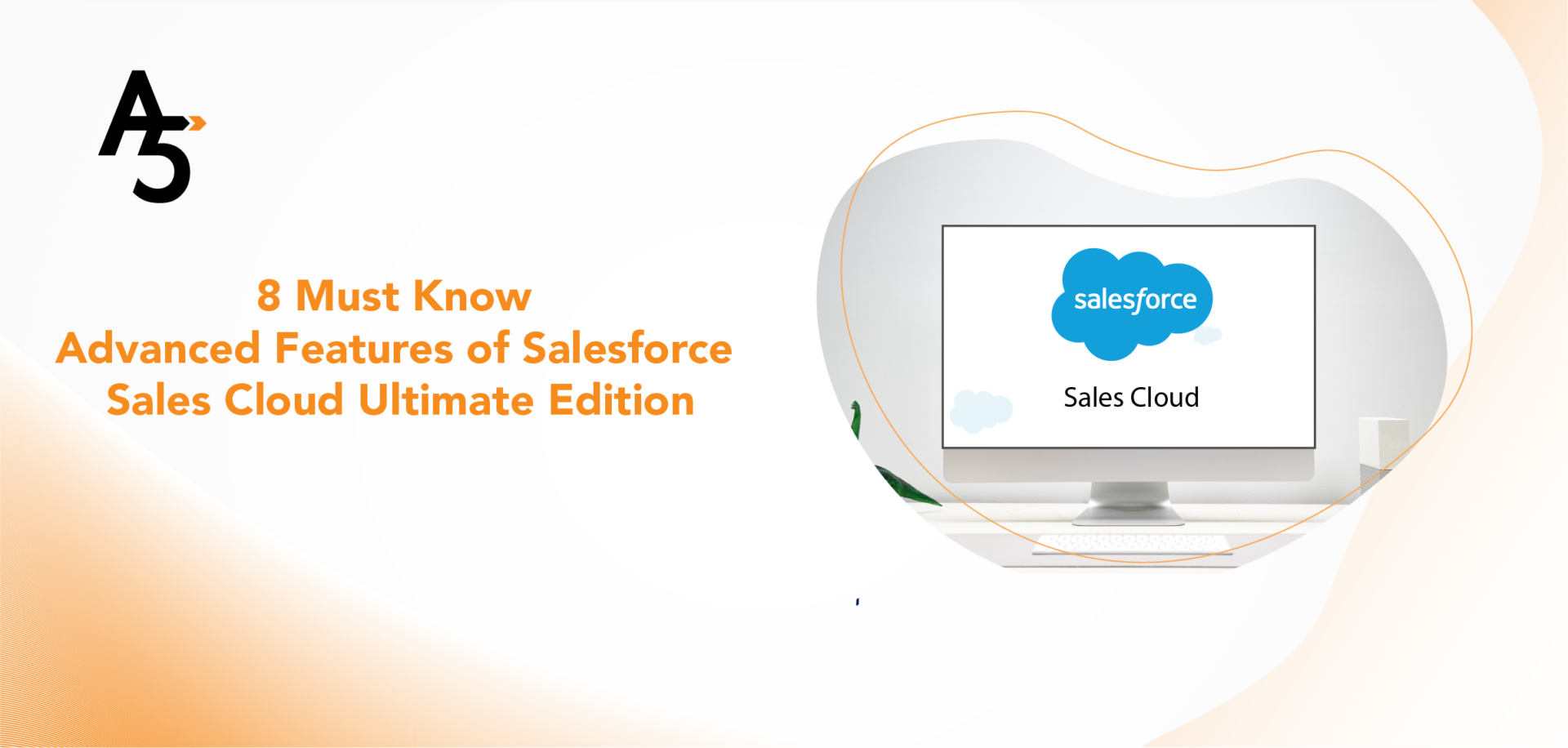 Salesforce Sales Cloud Ultimate Edition