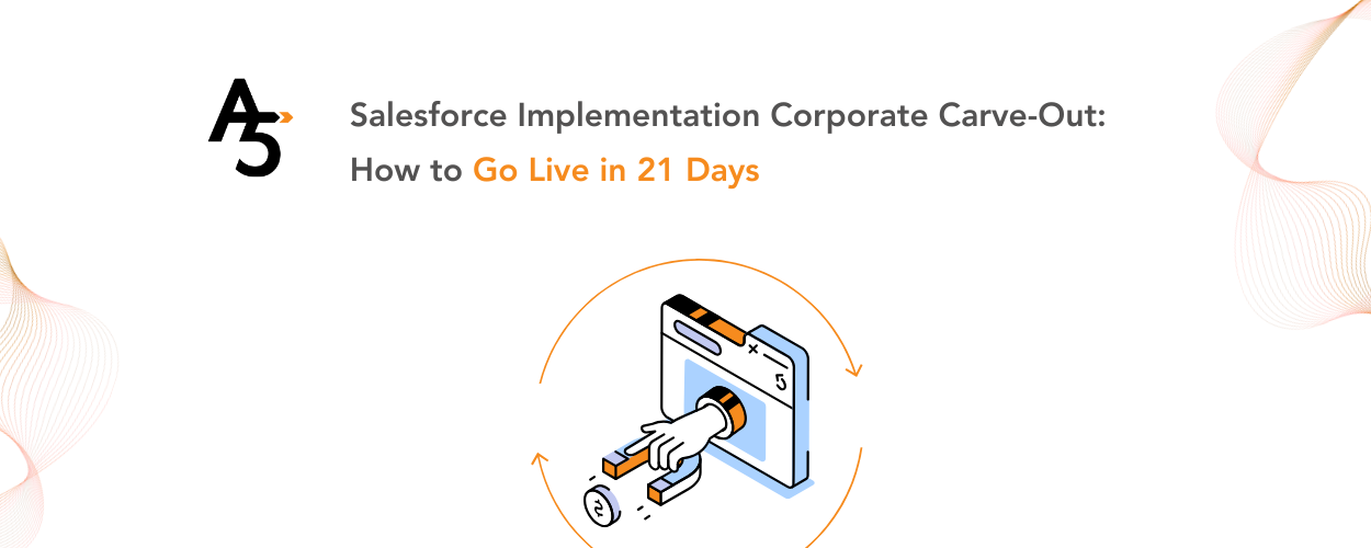 Salesforce Implementation Corporate Carve-Out